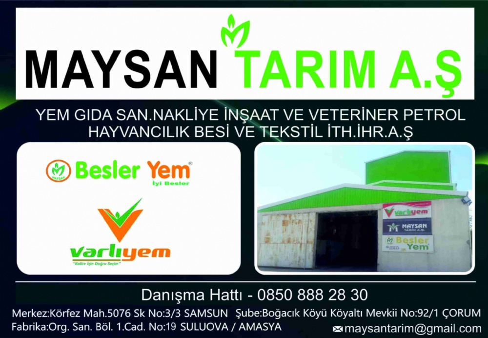 MAYSAN TARIM SULUOVA